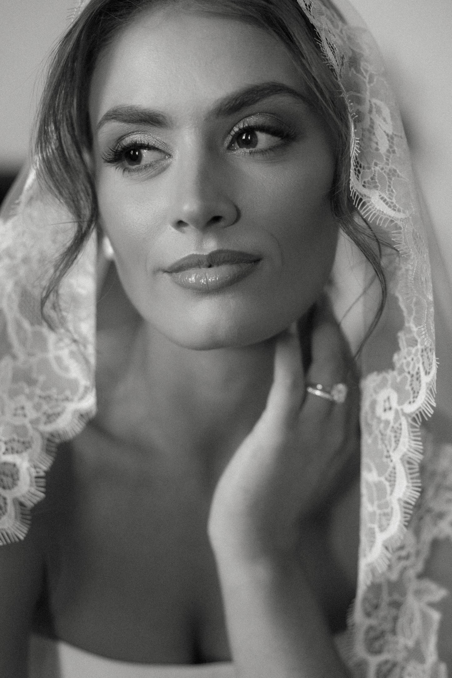 Chantilly Lace Veil