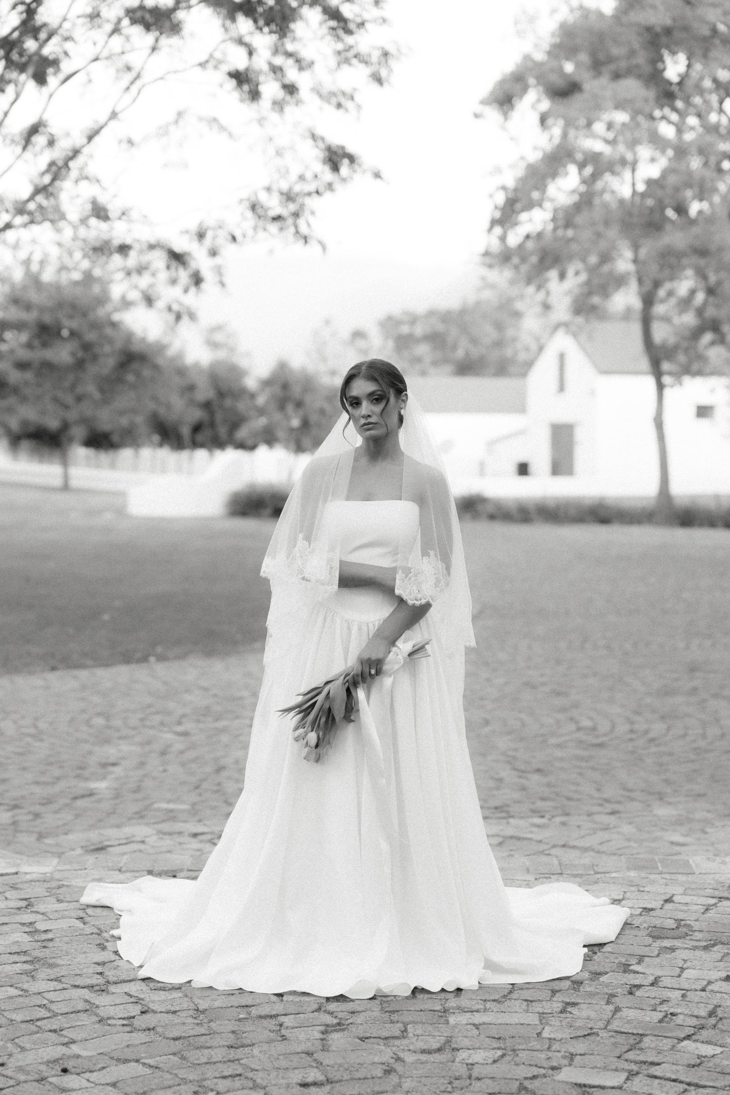 Chantilly Lace Veil
