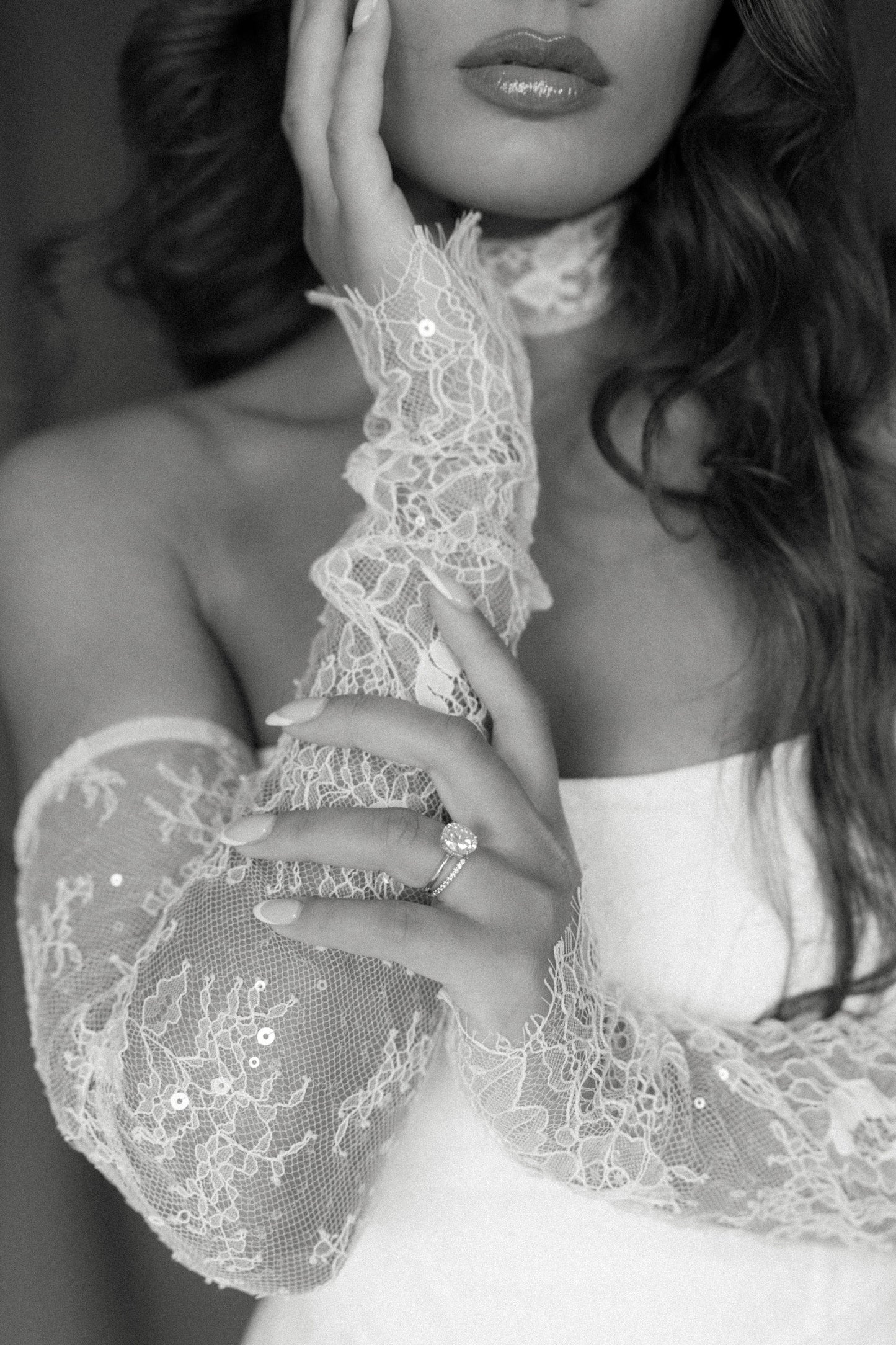 Chantilly Sleeves