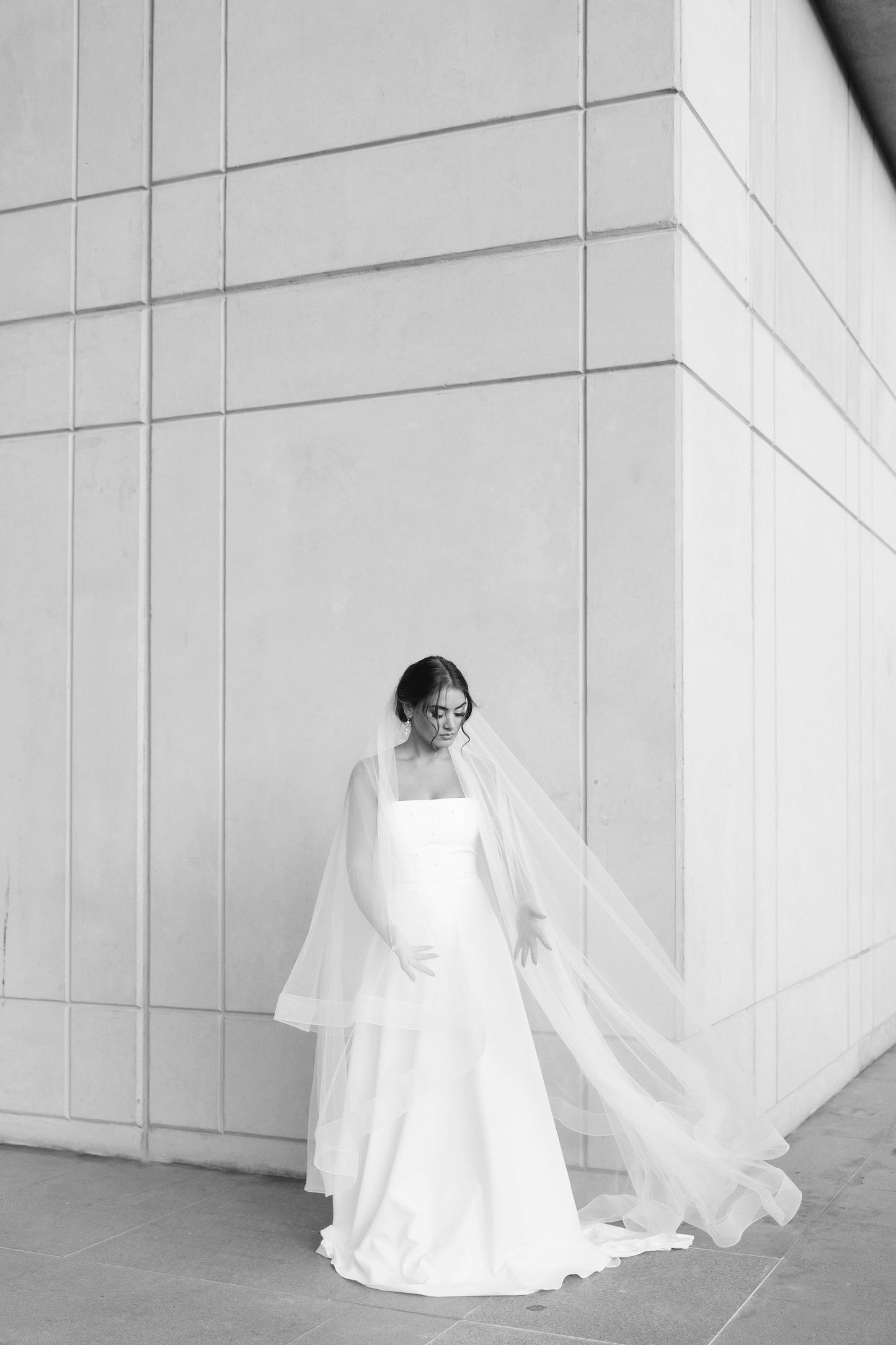 Horsehair Veil