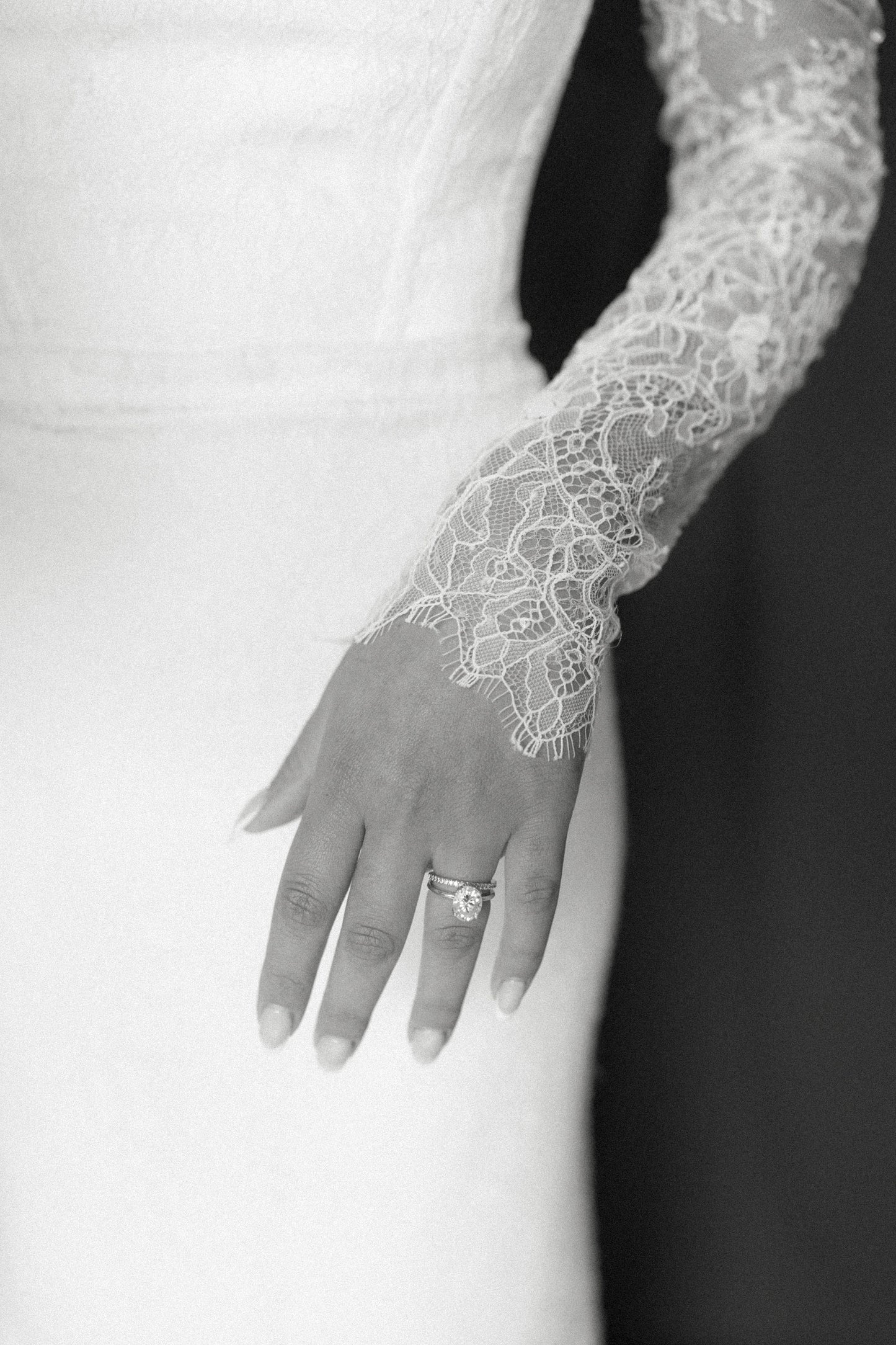 Chantilly Sleeves