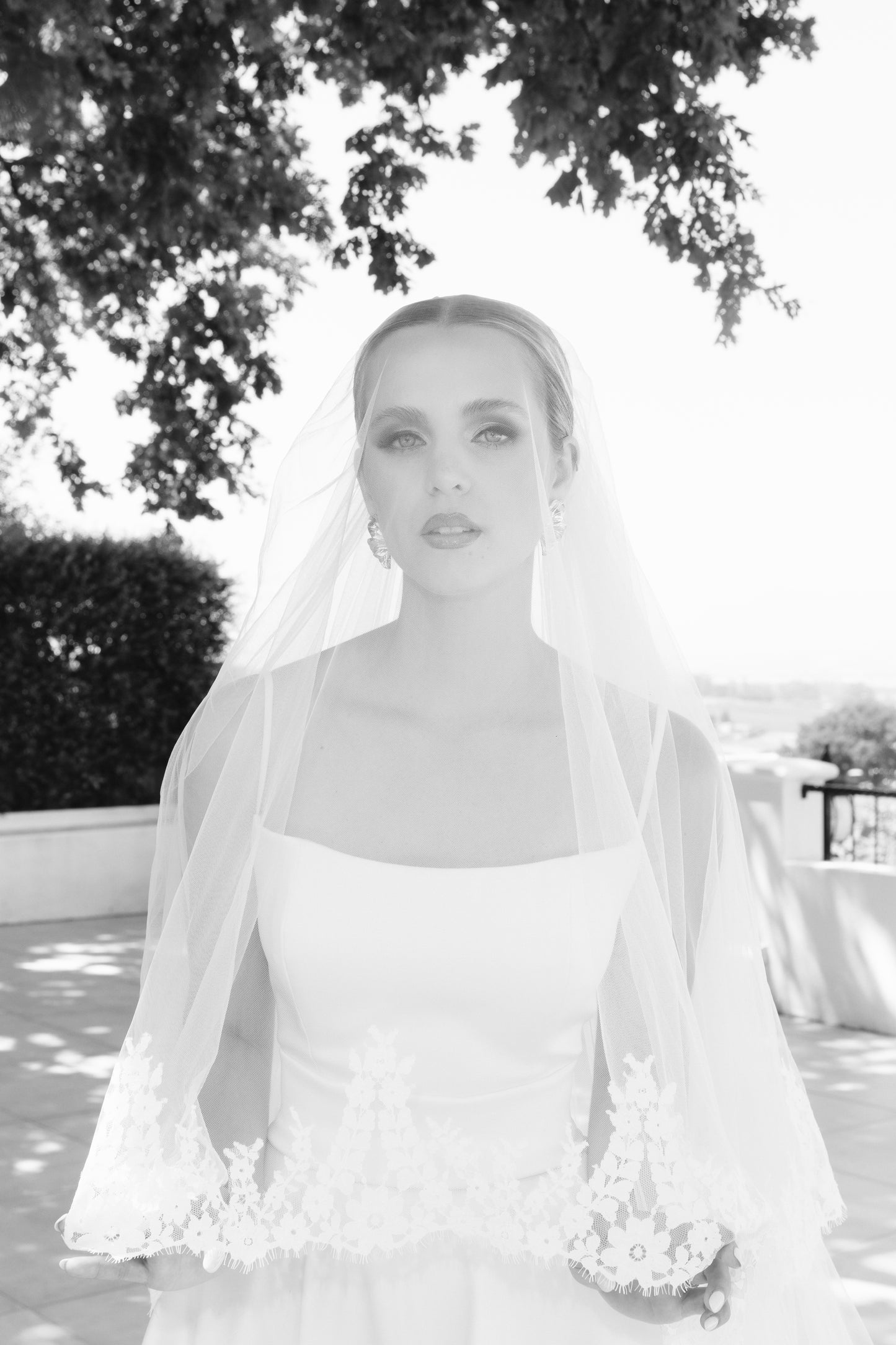 Sparkle Chantilly Lace Veil