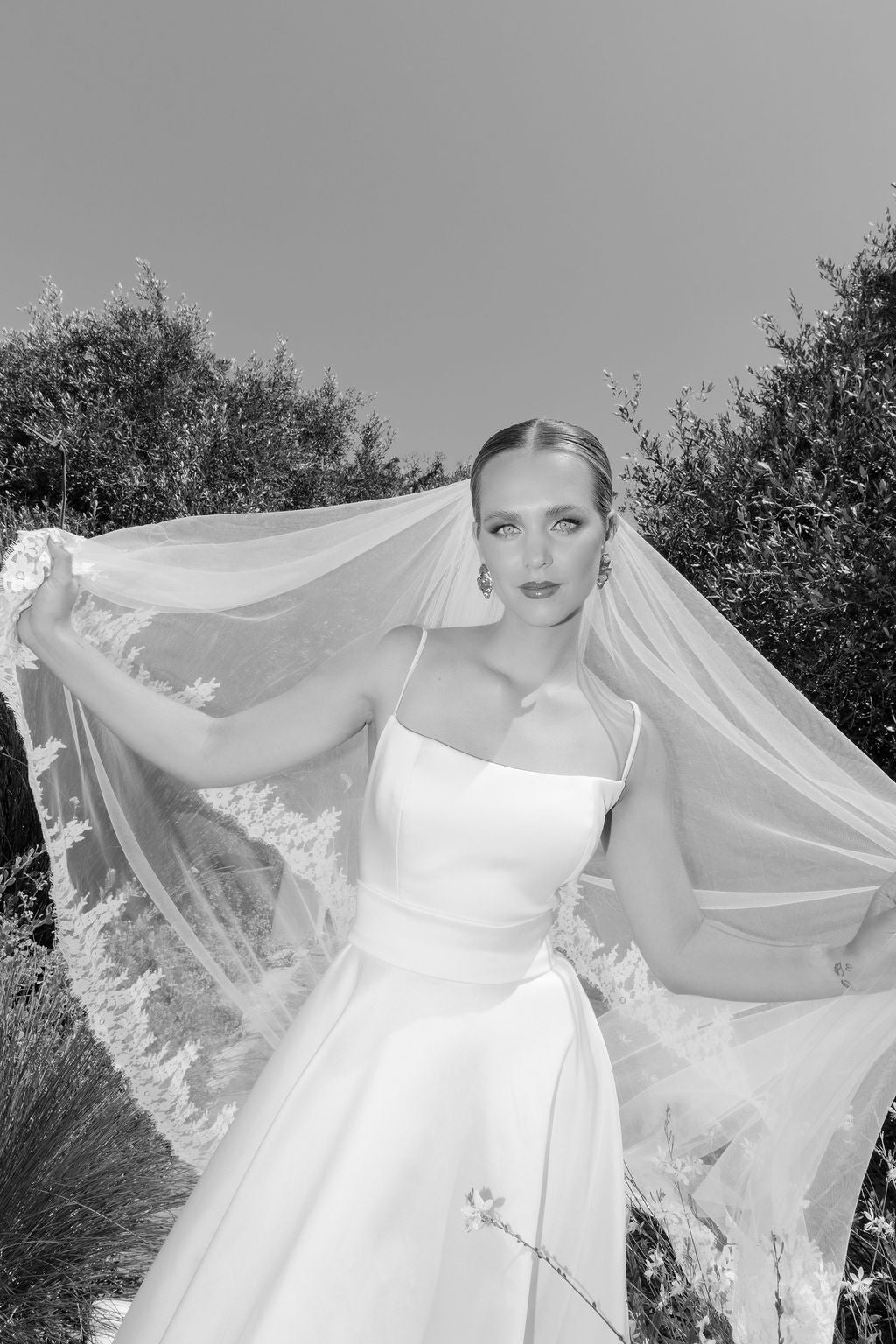 Sparkle Chantilly Lace Veil